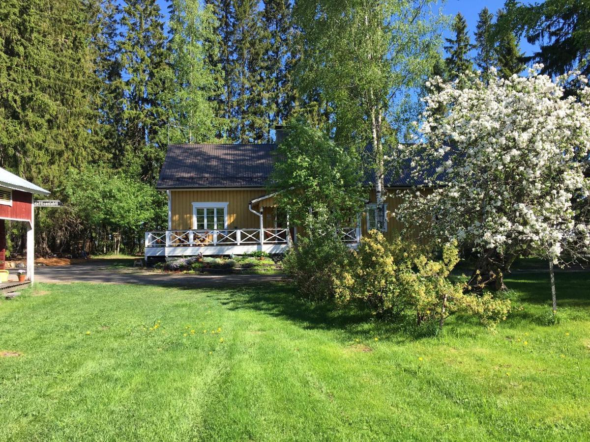 Bed and Breakfast Ollilan Tupa Joensuun Laehellae Ylämylly Exterior foto