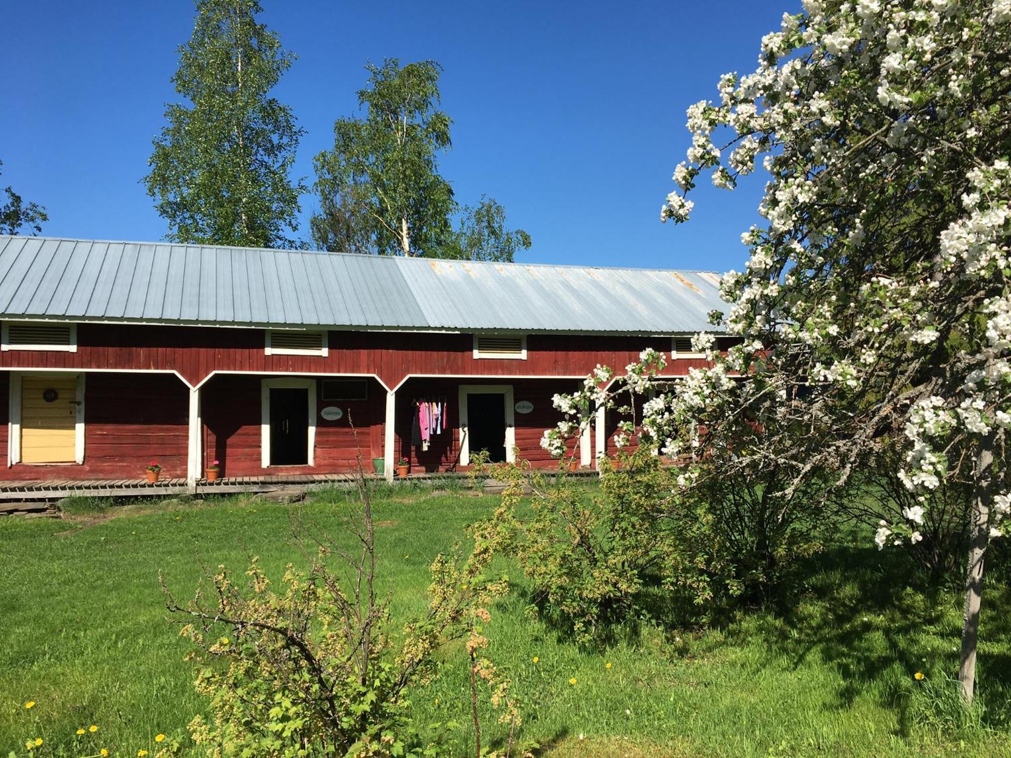 Bed and Breakfast Ollilan Tupa Joensuun Laehellae Ylämylly Exterior foto